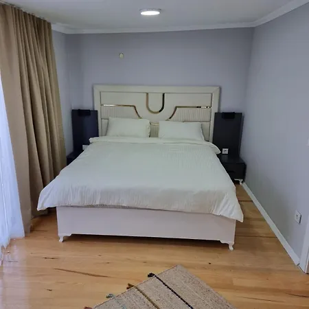 Amur Plus Hotel *